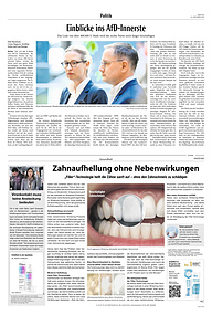 Politik